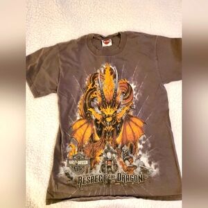 Mens Harley Davidson Smoky Mtn. The Dragon Tshirt Small. Hole pic on back